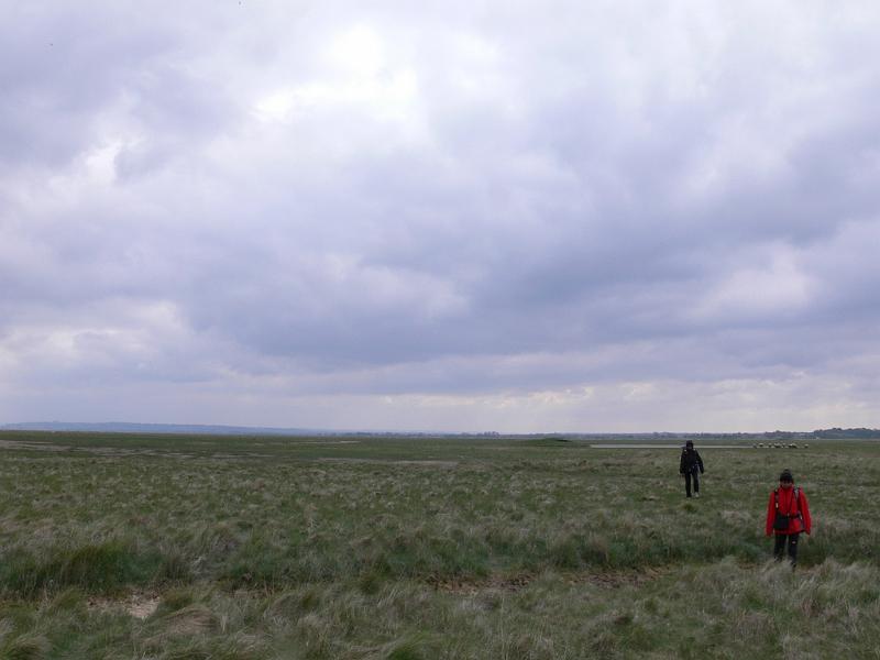 Mont Saint Michel 2010 - 422.jpg